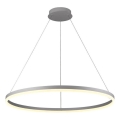 Brilagi - Dimbare LED-hanglamp aan kabel CIRCLE LED/55W/230V 3000-6500K Ø 80 cm zilver + afstandsbediening