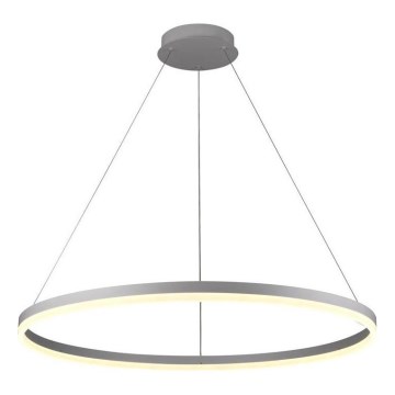 Brilagi - Dimbare LED-hanglamp aan kabel CIRCLE LED/55W/230V 3000-6500K Ø 80 cm zilver + afstandsbediening