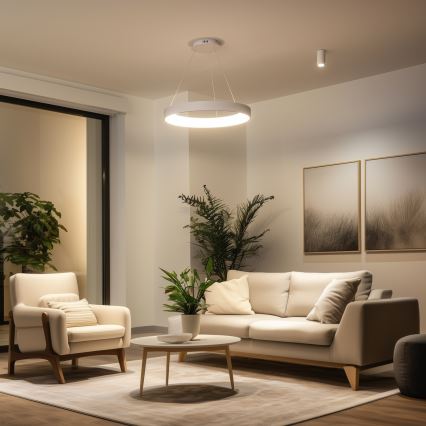 Brilagi - Dimbare LED-pendellamp aan kabel FALCON II LED/99W/230V 3000-6500K Ø 60 cm wit + afstandsbediening