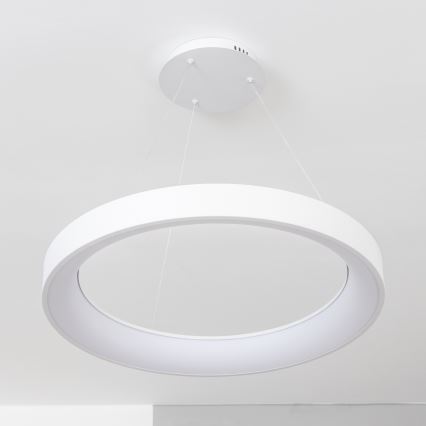 Brilagi - Dimbare LED-pendellamp aan kabel FALCON II LED/99W/230V 3000-6500K Ø 60 cm wit + afstandsbediening