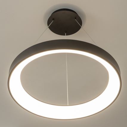 Brilagi - LED dimbare hanglamp met kabelophanging FALCON II LED/99W/230V 3000-6500K Ø 60 cm zwart + afstandsbediening