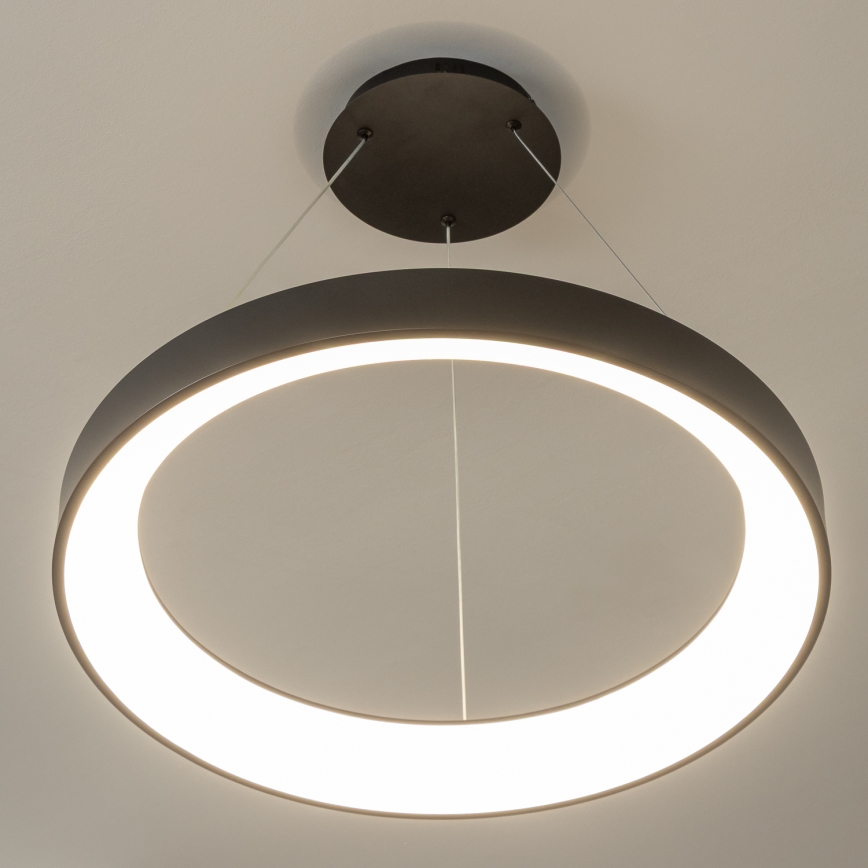 Brilagi - LED dimbare hanglamp met kabelophanging FALCON II LED/99W/230V 3000-6500K Ø 60 cm zwart + afstandsbediening