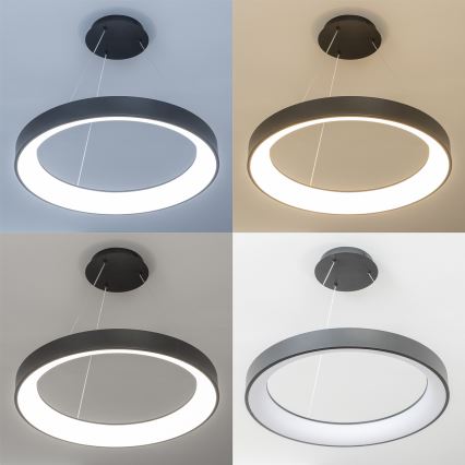 Brilagi - LED dimbare hanglamp met kabelophanging FALCON II LED/99W/230V 3000-6500K Ø 60 cm zwart + afstandsbediening