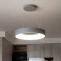 Brilagi - Dimbare LED-hanglamp aan kabel FALCON LED/80W/230V 3000-6500K Ø 60 cm grijs + afstandsbediening