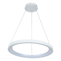 Brilagi - Dimbare LED-hanglamp aan kabel FALCON SLIM LED/42W/230V 3000-6500K Ø 50 cm wit + afstandsbediening