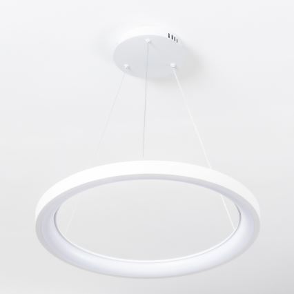 Brilagi - Dimbare LED-pendellamp aan kabel FALCON SLIM LED/42W/230V 3000-6500K Ø 50 cm wit + afstandsbediening