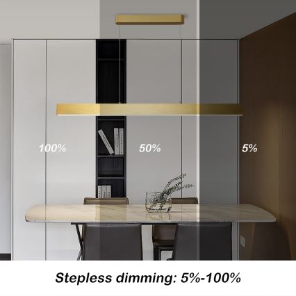 Brilagi - Dimbare LED hanglamp aan een koord SLEEKLINE SMART LED/40W/230V 3000-6000K Wi-Fi Tuya goud + afstandsbediening