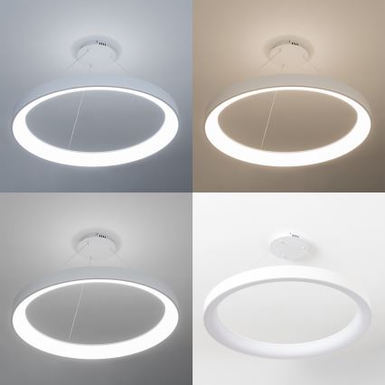 Brilagi - LED dimbare hanglamp aan kabel FALCON II LED/108W/230V 3000-6500K Ø 80 cm wit + afstandsbediening