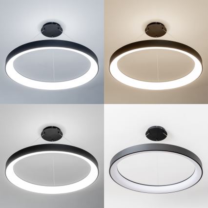 Brilagi - LED dimbare hanglamp aan kabel FALCON II LED/108W/230V 3000-6500K Ø 80 cm zwart + afstandsbediening