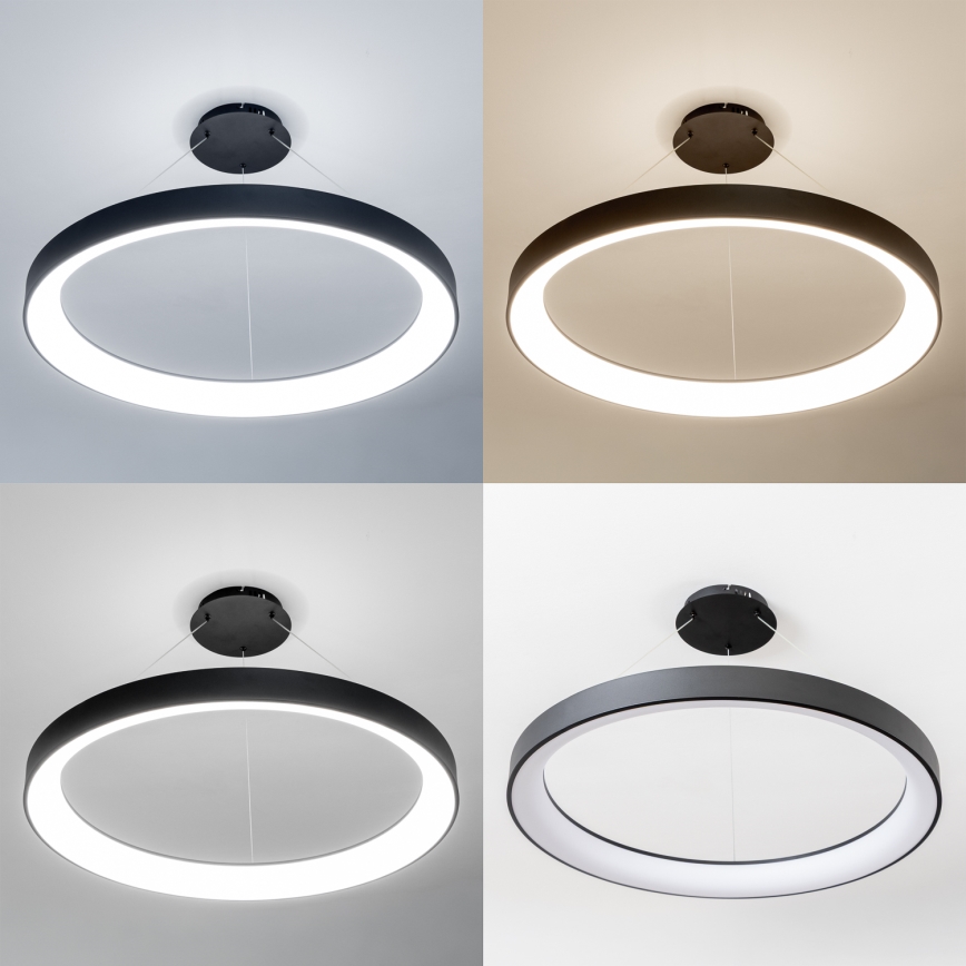 Brilagi - LED dimbare hanglamp aan kabel FALCON II LED/108W/230V 3000-6500K Ø 80 cm zwart + afstandsbediening