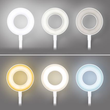 Brilagi - Dimbare LED lamp met klem ORBELA LED/8W/230V 3000/4000/5000K wit