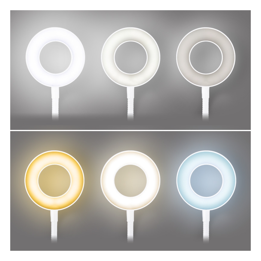 Brilagi - Dimbare LED-lamp met klem ORBELA LED/8W/5V 3000/4000/5000K wit