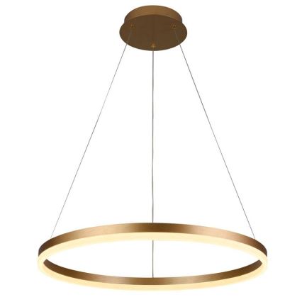 Brilagi - Dimbare LED-hanglamp aan kabel CIRCLE LED/42W/230V 3000-6500K Ø 60 cm + afstandsbediening