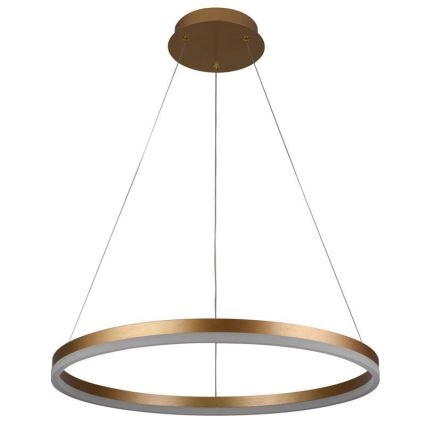 Brilagi - Dimbare LED-hanglamp aan kabel CIRCLE LED/42W/230V 3000-6500K Ø 60 cm + afstandsbediening