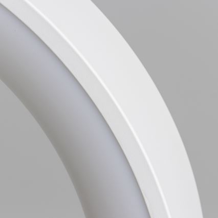 Brilagi - Dimbare LED-hanglamp aan kabel FALCON LED/80W/230V 3000-6500K Ø 60 cm wit + afstandsbediening