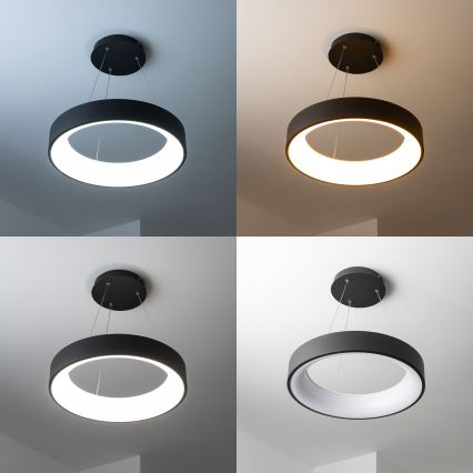 Brilagi - LED-dimbare hanglamp aan kabel FALCON LED/40W/230V 3000-6500K Ø45 cm zwart + afstandsbediening