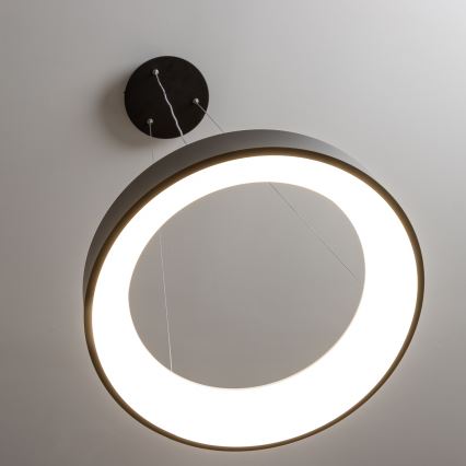 Brilagi - LED-dimbare hanglamp aan kabel FALCON LED/40W/230V 3000-6500K Ø45 cm zwart + afstandsbediening