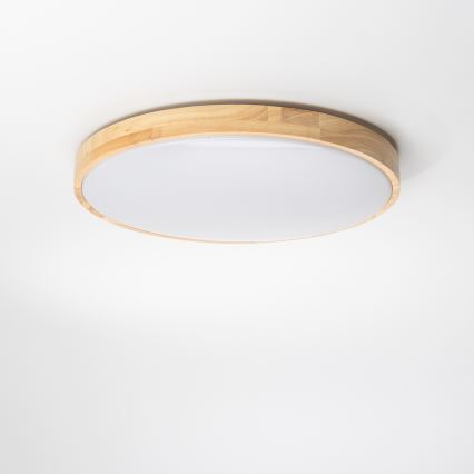 Brilagi - Dimbare LED Plafond Lamp PINE LED/24W/230V + afstandsbediening
