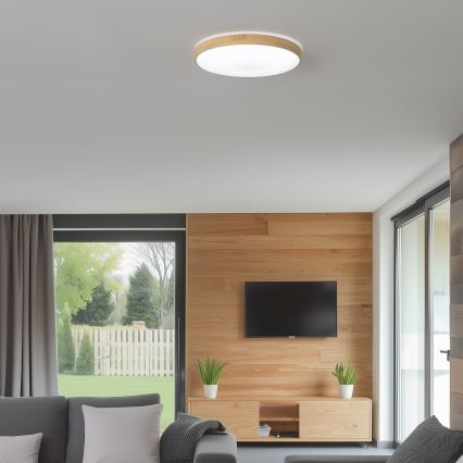 Brilagi - Dimbare LED Plafond Lamp PINE LED/24W/230V + afstandsbediening