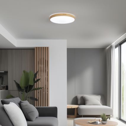 Brilagi - Dimbare LED Plafond Lamp PINE LED/24W/230V + afstandsbediening