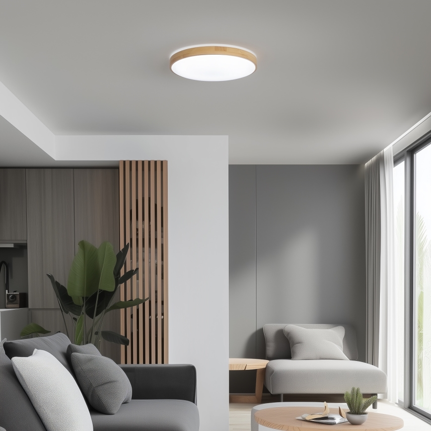 Brilagi - Dimbare LED Plafond Lamp PINE LED/24W/230V + afstandsbediening