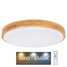 Brilagi - Dimbare LED Plafond Lamp PINE LED/60W/230V + afstandsbediening