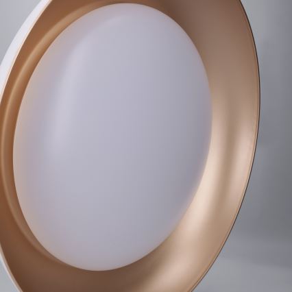 Brilagi - LED dimbare plafondlamp ALVA LED/48W/230V 3000-6500K Ø51 cm wit + afstandsbediening