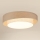 Brilagi - Dimbare LED Plafondlamp DOVER SHINE LED/24W/230V 3000/4000/6500K grijs/crème + afstandsbediening