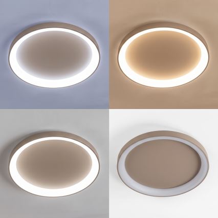 BRILAGI - LED dimbare plafondlamp FALCON II LED/108W/230V 3000-6500K Ø 80 cm beige + afstandsbediening