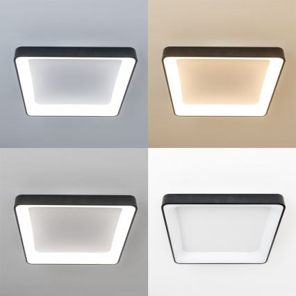 Brilagi - LED dimbaar plafondarmatuur FALCON II LED/125W/230V 3000-6500K 60x60 cm zwart + afstandsbediening