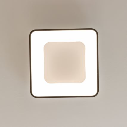 Brilagi - LED-dimbare plafondlamp FALCON II LED/80W/230V 3000-6500K 40x40 cm zwart + afstandsbediening