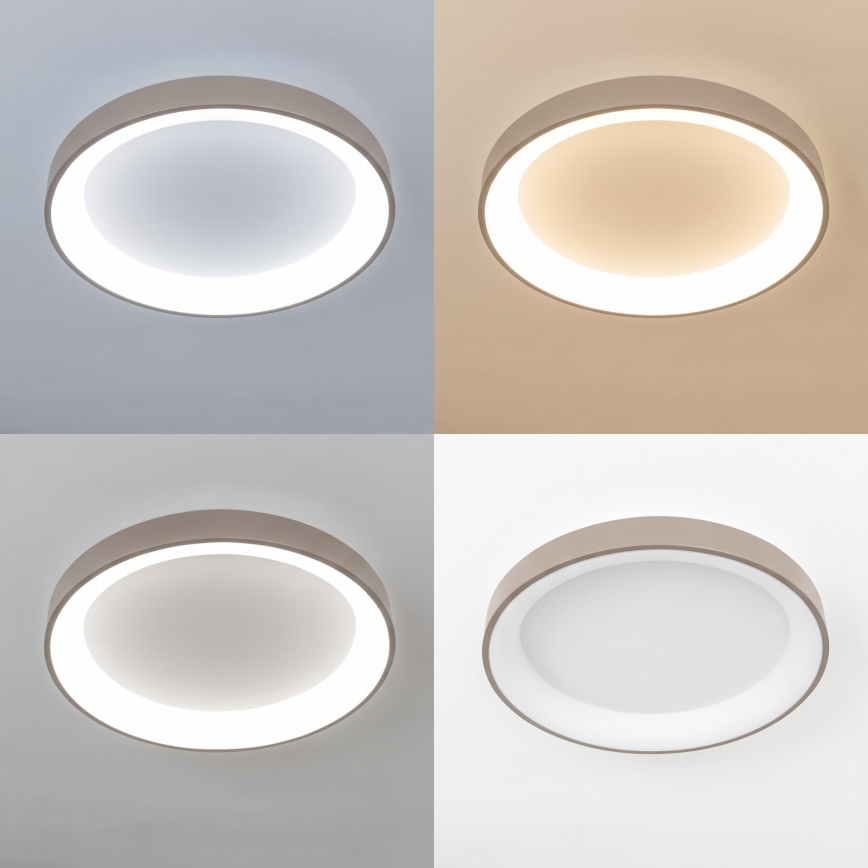 BRILAGI - LED Dimbare plafondlamp FALCON II LED/99W/230V 3000-6500K Ø 60 cm wit/beige + afstandsbediening