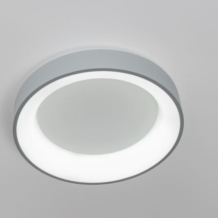 Brilagi - Dimbare LED Plafondlamp FALCON LED/80W/230V 3000-6500K d. 60 cm grijs + afstandsbediening