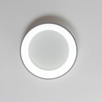 Brilagi - Dimbare LED-plafondlamp FALCON LED/80W/230V 3000-6500K Ø 60 cm grijs + afstandsbediening