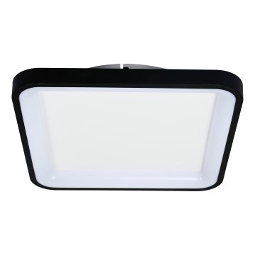 Brilagi - Dimbare LED-plafondlamp FALCON SLIM LED/50W/230V 3000-6500K 50x50 cm zwart + afstandsbediening