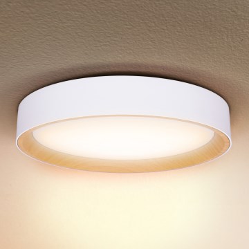 Brilagi - Dimbare LED plafondlamp LARIOS LED/48W/230V 3000-6500K ø 39 cm wit + afstandsbediening