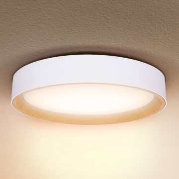 Brilagi - Dimbare LED plafondlamp LARIOS LED/60W/230V 3000-6500K ø 49 cm wit + afstandsbediening