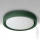 Brilagi - Dimbare LED-plafondlamp MATTEO LED/48W/230V 3000-6500K Ø 41 cm groen + afstandsbediening