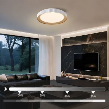 Brilagi - Dimbare LED-plafondlamp NEXO LED/48W/230V 3000-6000K wit Ø 43 cm + afstandsbediening