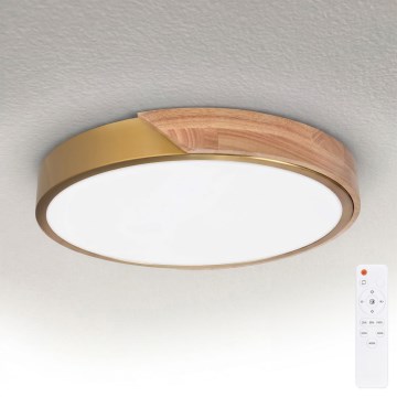 BRILAGI - dimbare LED-plafondlamp PILANA LED/48W/230V 3000-6500K eiken/goud Ø 40 cm + afstandsbediening