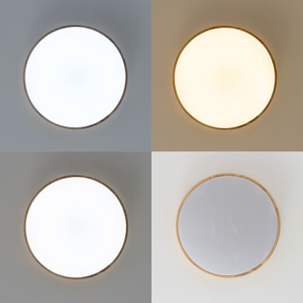 Brilagi - Dimbare LED-plafondlamp PINE LED/60W/230V Ø 52 cm 3000-6500K + afstandsbediening