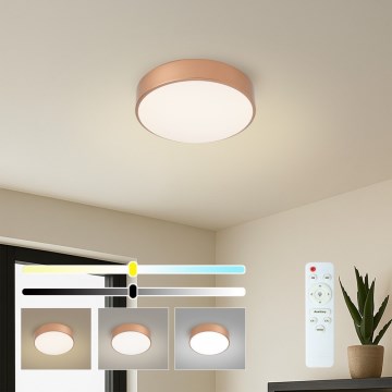 BRILAGI - Dimbare LED-plafondlamp POOL LED/24W/230V 3000-6000K Ø 20 cm koperen + afstandsbediening