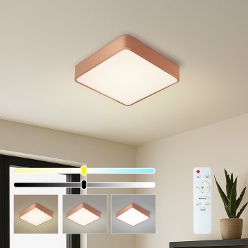 Brilagi - Dimbare LED-plafondlamp POOL LED/36W/230V 3000-6000K 40x40 cm brons + afstandsbediening