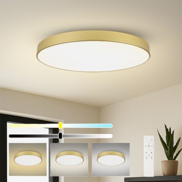Brilagi - Dimbare LED-plafondlamp POOL SMART LED/180W/230V 3000-6000K 120 cm goud Wi-Fi Tuya + afstandsbediening