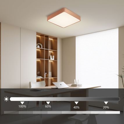 Brilagi - Dimbare LED-plafondlamp POOL SQUARE LED/36W/230V 3000-6000K 40x40 cm brons + afstandsbediening