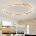 Brilagi - Dimbare LED-plafondlamp PORTOFINO LED/85W/230V 3000-6000K Ø 120 cm goud + afstandsbediening