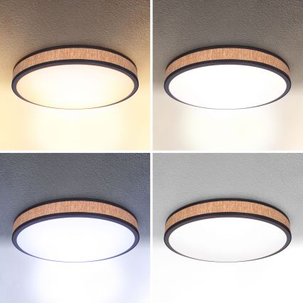 Brilagi - Dimbare LED plafondlamp ROSA LED/48W/230V 3000-6500K diameter 38 cm + afstandsbediening