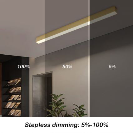 Brilagi - Dimbare LED-plafondlamp SLEEKLINE SMART LED/40W/230V 3000-6000K Wi-Fi Tuya goudkleurig + afstandsbediening