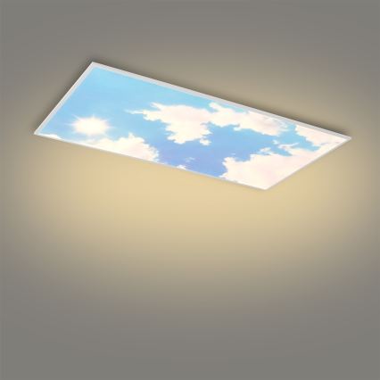 Brilagi - Dimbare LED-plafondlamp SLIMFRAME SKY LED/80W/230V 120x60 cm 3000-6000K zilver/blauw + afstandsbediening
