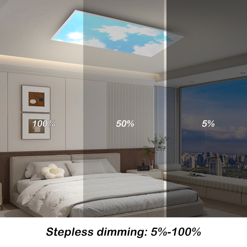 Brilagi - Dimbare LED-plafondlamp SLIMFRAME SKY LED/80W/230V 120x60 cm 3000-6000K zilver/blauw + afstandsbediening